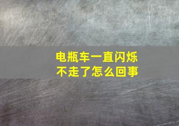 电瓶车一直闪烁 不走了怎么回事